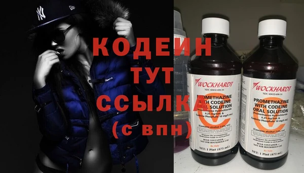 дживик Гусь-Хрустальный