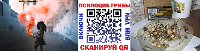 Галлюциногенные грибы Psilocybine cubensis  где можно купить наркотик  Мензелинск 